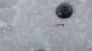 Рыбалка на затоне Иртыша открыл сезон по льду для себя !!