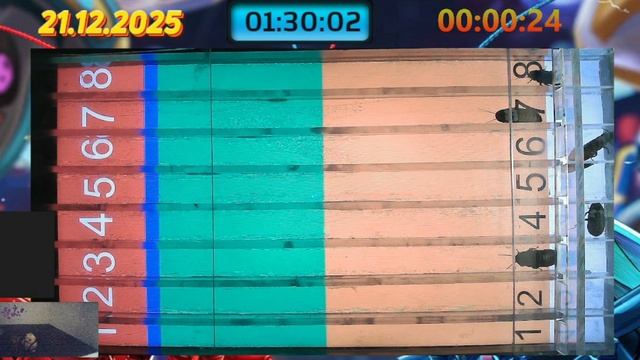 Мадагаскарские Тараканы 21.12.2025 забег смотреть онлайн