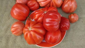 Выбираем грушевидные, ребристые сорта томатов (Трюфеля) для следующего сезона!