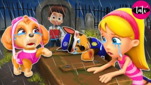 Щенячий патруль и Маршалл. Залипательное видео. Мультфильм для детей и малышей. Анимация