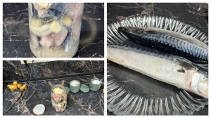 Солю скумбрию в банке без рассола