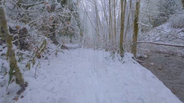 Где вы смотреть онлайн