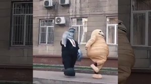 Когда работа в кайф