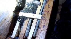 НОВИЧКАМ ПРО МЫШЛЕНИЕ , ЗИМОВКА СЛАБЫХ ПЧЕЛОСЕМЕЙ ...