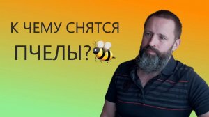 К чему снятся Пчёлы.