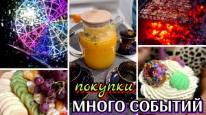 #53 поездка в Тулу / шашлыки / покупки / семейный уют / Макси