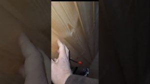 1000043051.mp4 (Собака наблюдает за лайфхаками при строительстве дома А-фрейм)