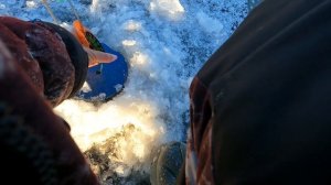 У сына первый трофей / Рыбалка на жерлицы на водохранилище