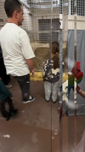 ЗАКУЛИСЬЕ ЦИРКА смотреть онлайн