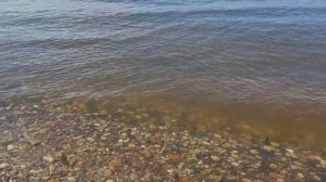 от автора, Светланы Архиповой.