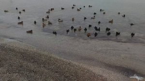 Прогулка по Феодосии зимой. От дачи Стамболи до ба