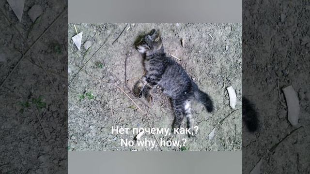 это это это просто ф...ффрешь треш 😭 смотреть онлайн