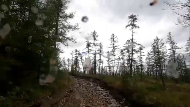 ГОЛУБАЯ ТАЙГА Муслим Магомаев (Нарезка на песню)