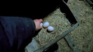 Как живёт деревня, где ничего не происходит