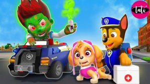 Щенячий патруль и Маршалл. Залипательное видео. Мультфильм для детей и малышей. Анимация