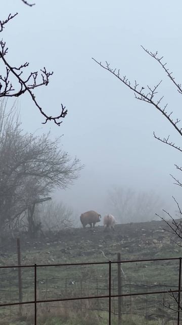 Зима на Ставрополье смотреть онлайн