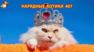 Нарядные Котики расслабляются на солнышке 🌞 🐈🐈🐈 (407)