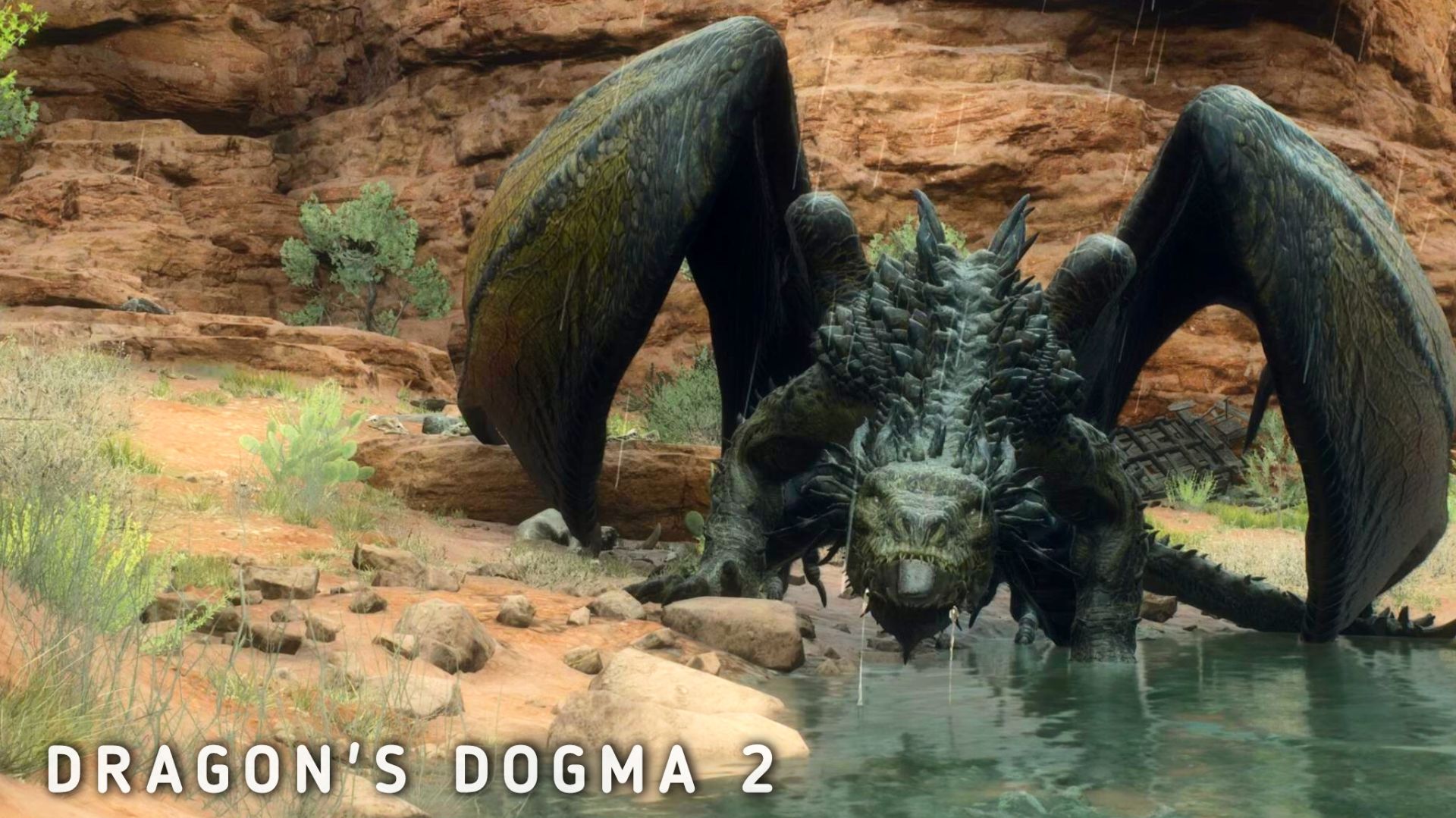 Dragon's Dogma 2 #24 Битва с драконом