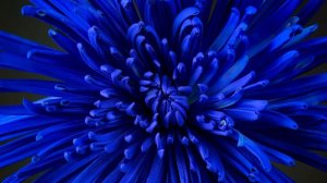 Думаете ад это где-то. Вы сами туда лезете