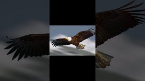 Сутки участник СВО слушал только мои песни.Вот прислал видео отчёт