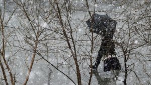 В Москве объявлено экстренное предупреждение из-за мокрого снега и гололеда