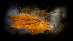 Поздняя Осень Саксофон Fausto Papetti @AsjaRigik