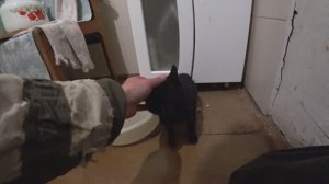 СПАС ЕГО ОТ ЛЮТОЙ СМЕРТИ или ОХОТА НА ТЕТЕРЕВА В СИЛЬНЫЙ МОРОЗ!