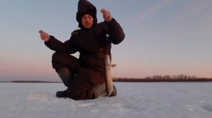 Вечерняя проверка жерлиц. Неожиданный, но приятный результат!)