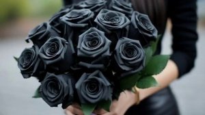 Подарю тебе чёрную  розу 4в! 1дб (рок)  - стихи Виктора Левашова, Ярославль.