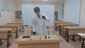 проект для Февральской Естественной Научной образовательной программы