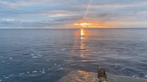 🎤Юлия Мир 🌊 Сборник красивых кавер-песен 💔❣️