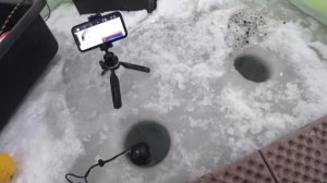 Рыбалка на озере