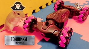 ГРЫЗУНЫ И МАШИНКА! ПЕСЧАНКИ НА ПРОГУЛКЕ!