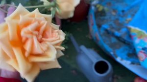 У нас морозненько, но все бегают с удовольствием.