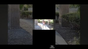 Каролина Проценко скрипка! кайф