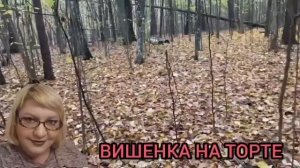 УСТРОИЛА СПЕКТАКЛЬ С КОШКАМИ! ОЛЬГА ИЗ ЗАУРАЛЬЯ. ОБЗОР.