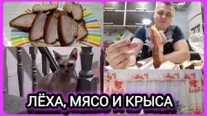 ПРИСПИЧИЛО же ЕМУ👀 чуть не ЗАМЁРЗЛИ🥶