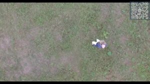 Юная девушка на зелёной траве, съёмка с квалдрокоптера.