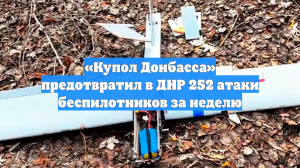 «Купол Донбасса» предотвратил в ДНР 252 атаки беспилотников за неделю