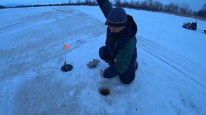 ЖЕРЛИЦЫ. ЖОР ЩУКИ. РЫБАЛКА МЕЧТЫ. КОЕ - КАК УВЕЗЛИ УЛОВ))