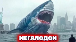 Мегалодон Выжил в Бермудском Треугольнике