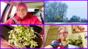 21.12.25 - 🌷ЦВЕТОЧЕК ОТ ЛЮБЫ 🌷СЕГОДНЯ ВСЕ НЕ ПО ПЛАНУ 🌷