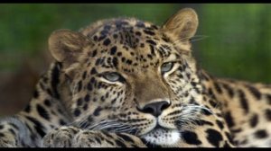 на растоянии дыхания 140 ударов в минуту