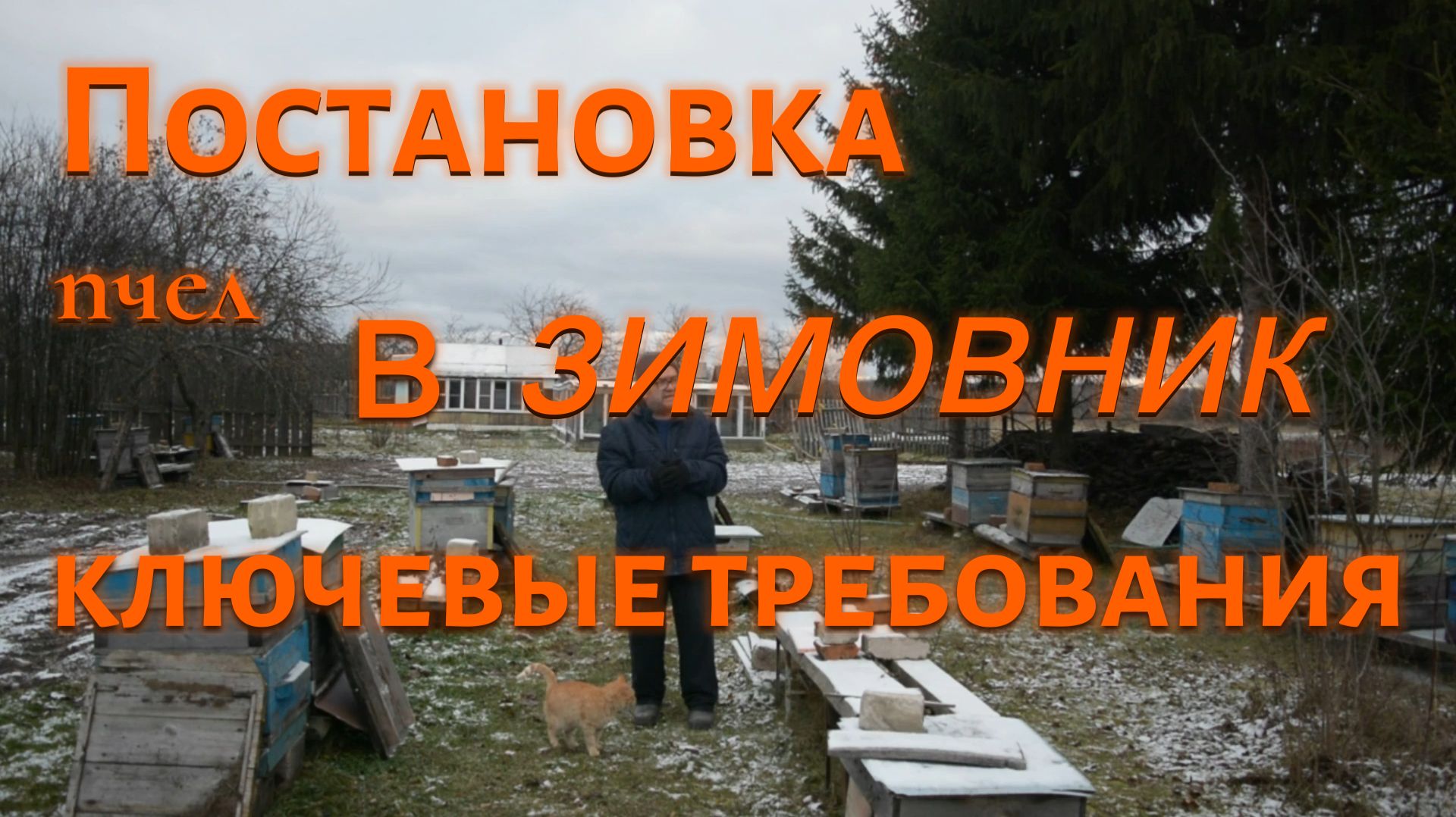 «Успешная зимовка пчёл: правильная постановка ульев в омшаник» смотреть онлайн