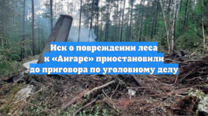 Иск о повреждении леса к «Ангаре» приостановили до приговора по уголовному делу