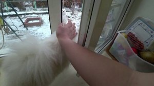 Влог от 03.12.2021