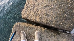 Черное море в Сочи 21 декабря