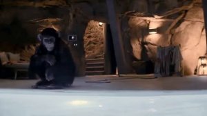 Трейлер 2 фильма «Примат» 2026 года — хоррор в стиле 80-х  с 9 января