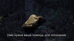 Пропавшая свадьба: Открытие после 12 лет в Приокском заповеднике (Часть 1)