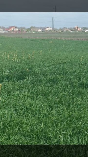 Доброе утро ☀ 🌝⏰ Доброе утро ☀ 🌝⏰